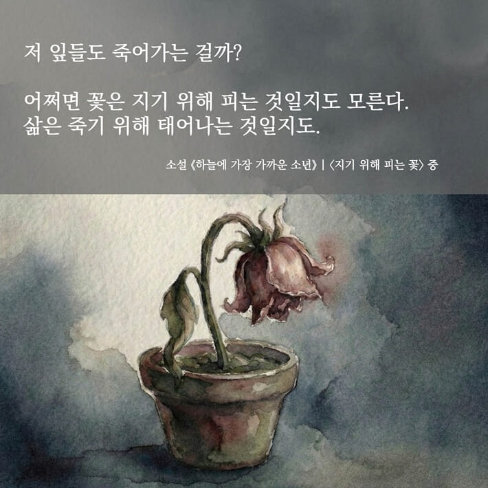 카드뉴스13