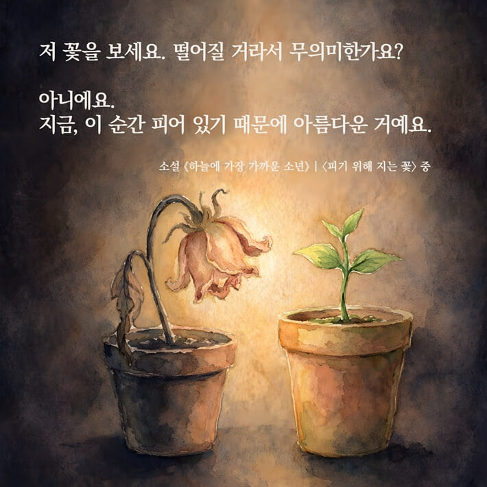 카드뉴스14