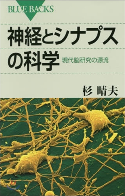 神經とシナプスの科學 現代腦硏究の源流