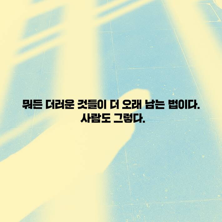 카드뉴스3