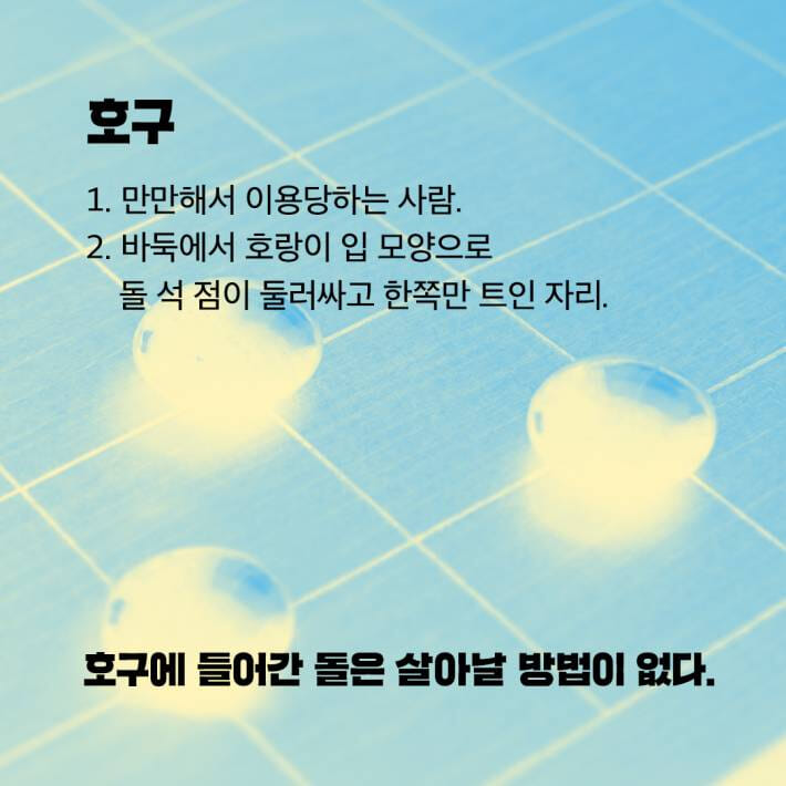 카드뉴스4