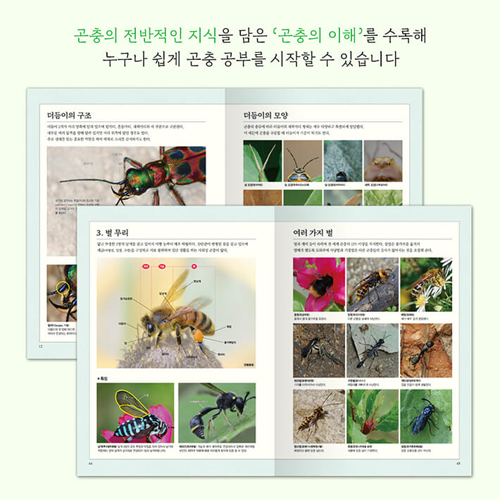 카드뉴스2