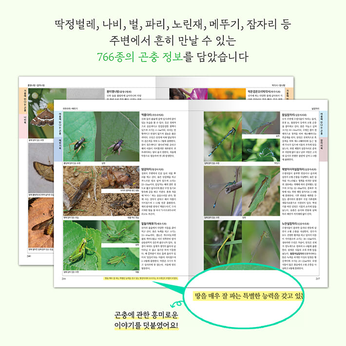 카드뉴스3