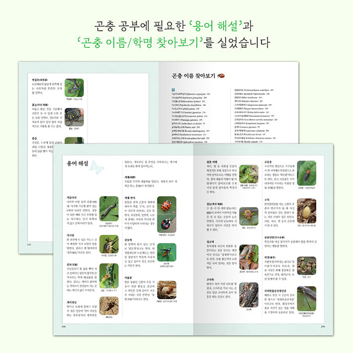 카드뉴스5