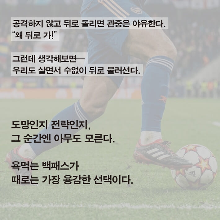 카드뉴스4