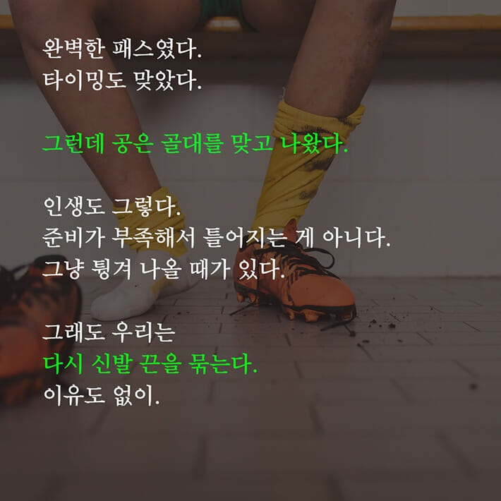 카드뉴스8