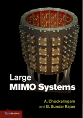 Large Mimo Systems