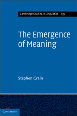 The Emergence of Meaning