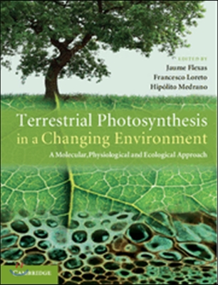 Terrestrial Photosynthesis in a Changing Environment