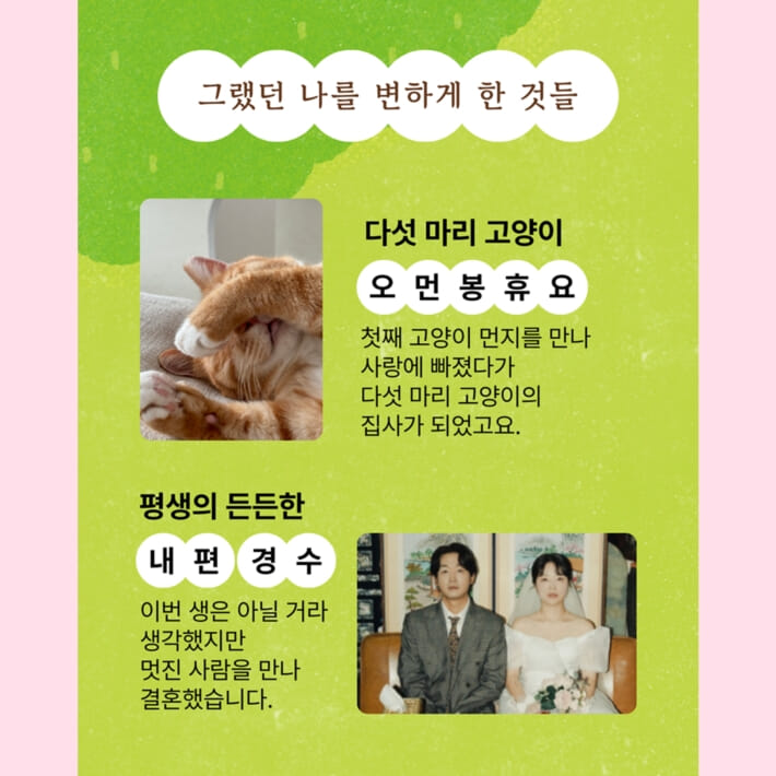 카드뉴스5