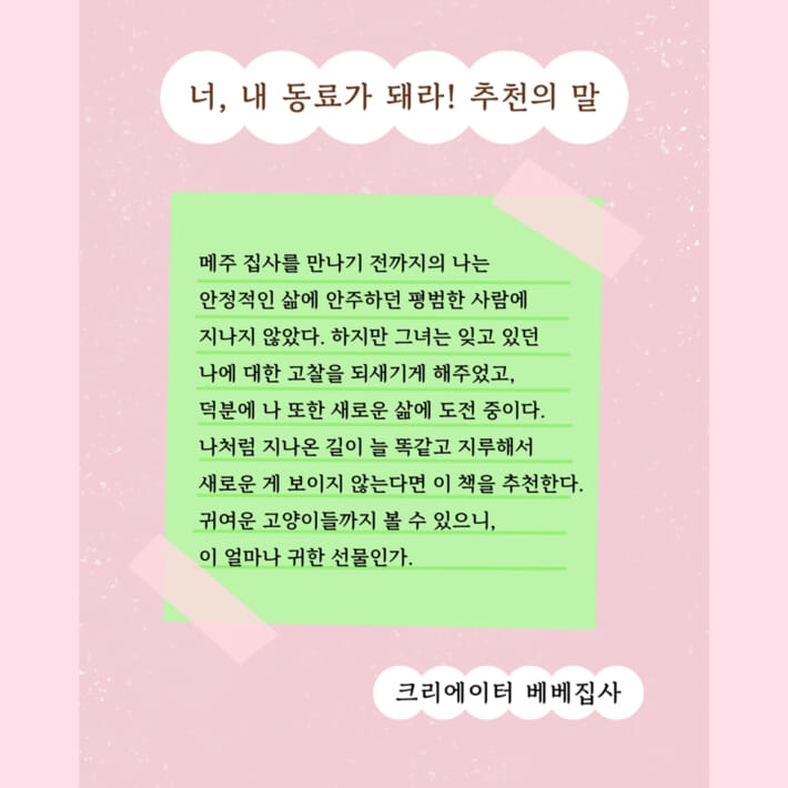 카드뉴스12