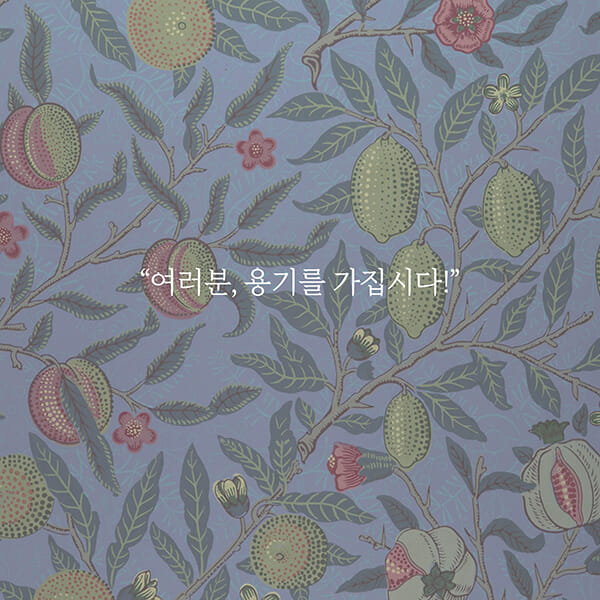 카드뉴스11
