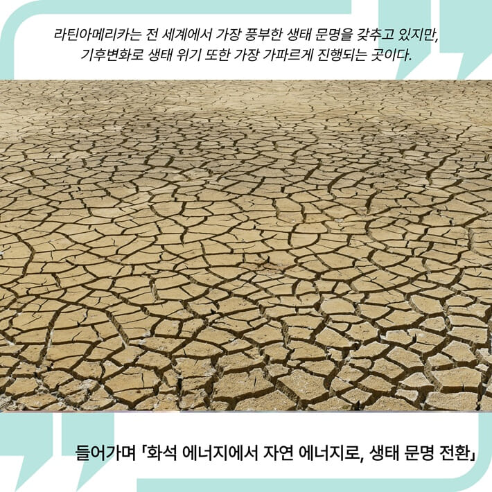 카드뉴스4