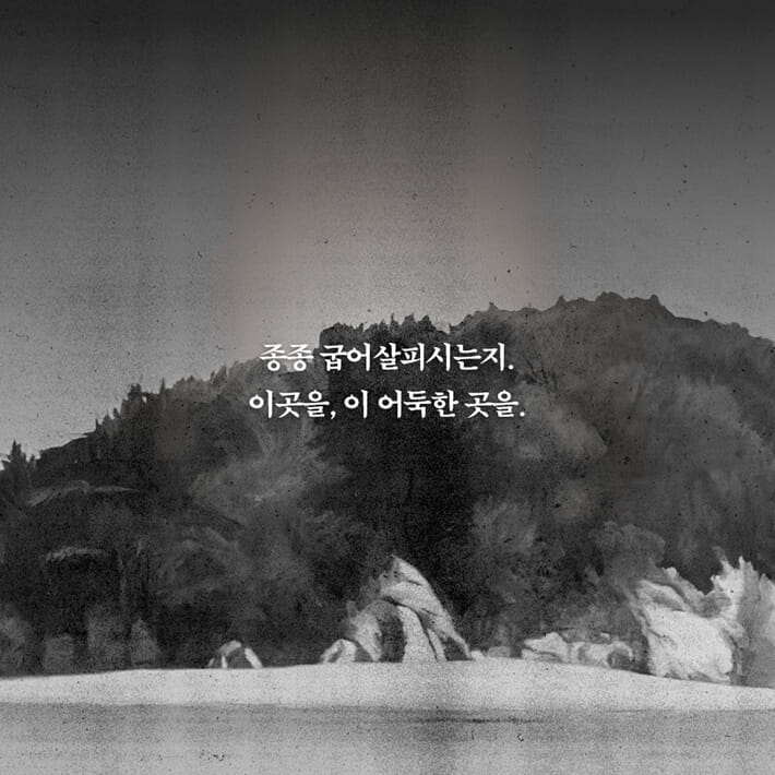 카드뉴스5