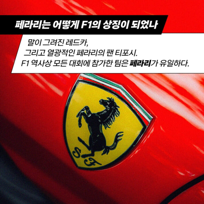 카드뉴스6