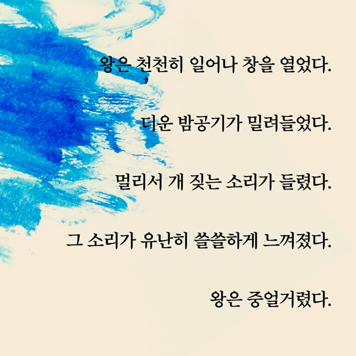카드뉴스1