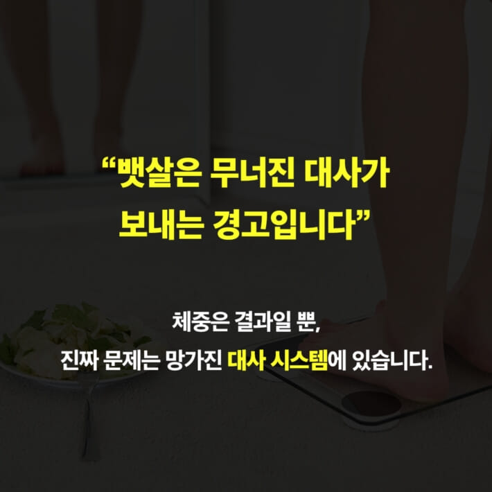 카드뉴스5