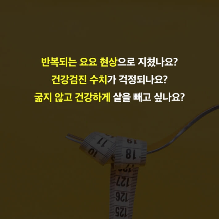 카드뉴스11