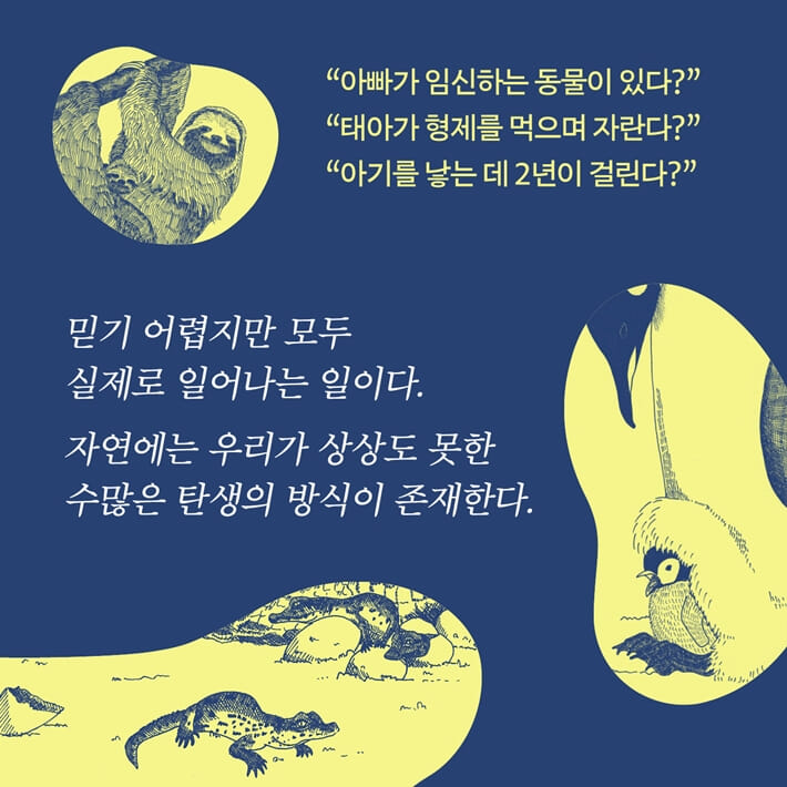 카드뉴스1