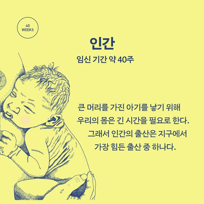 카드뉴스2