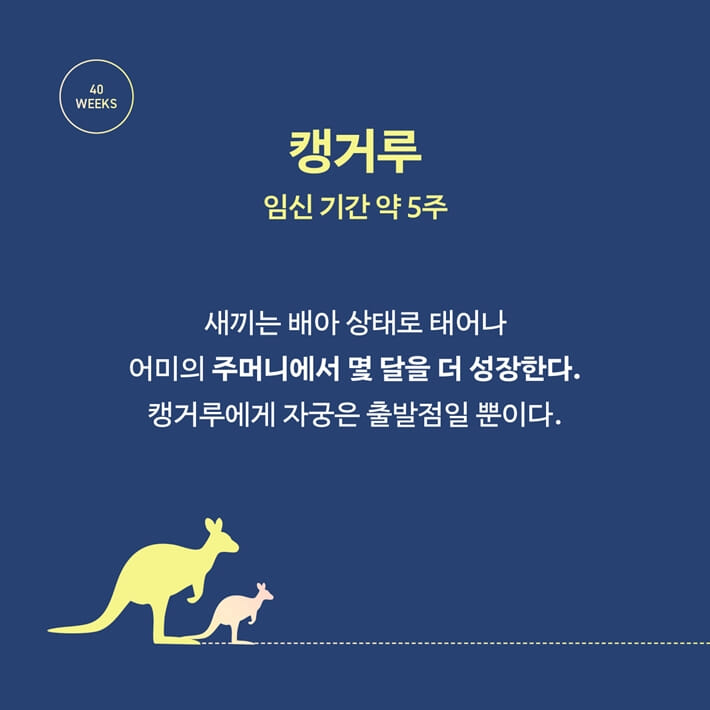 카드뉴스3