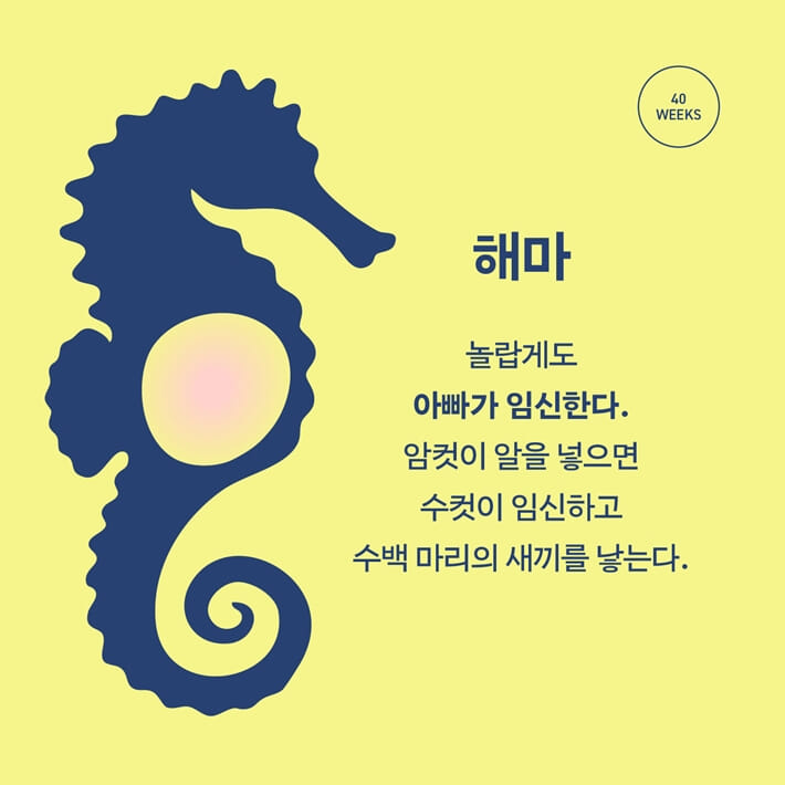 카드뉴스4