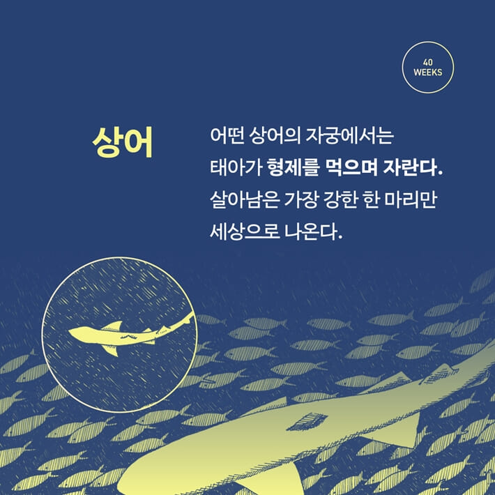 카드뉴스5