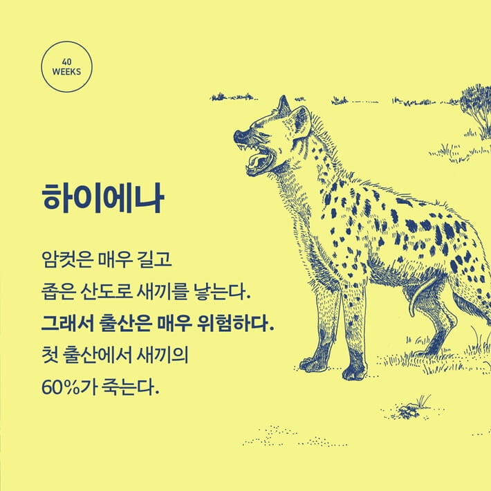 카드뉴스6