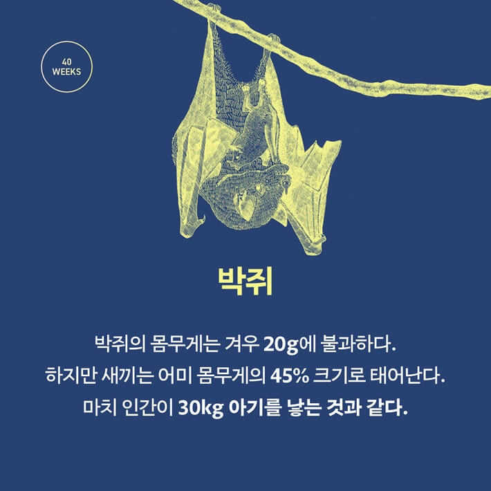 카드뉴스7