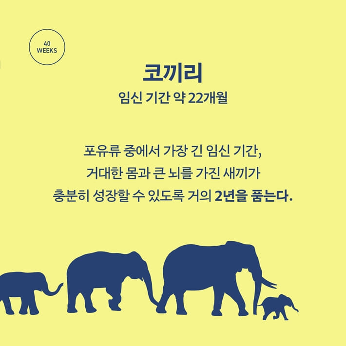 카드뉴스8