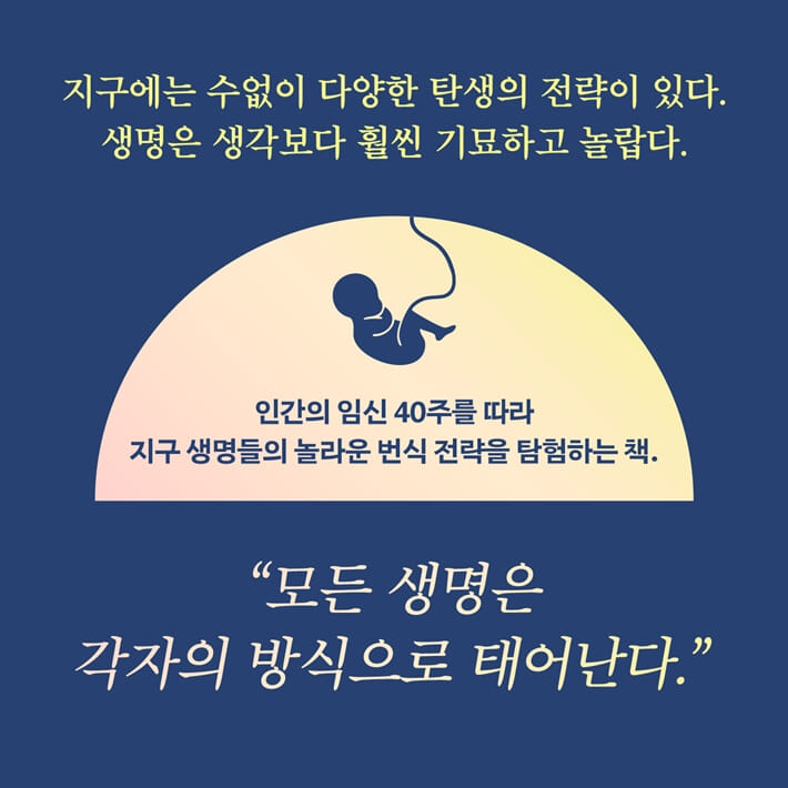 카드뉴스9