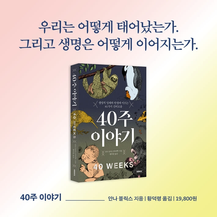 카드뉴스10