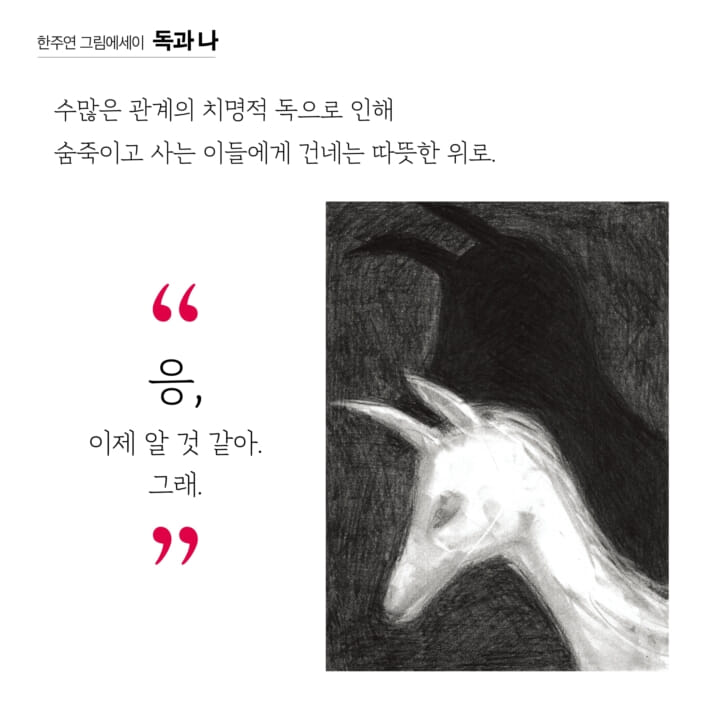 카드뉴스8