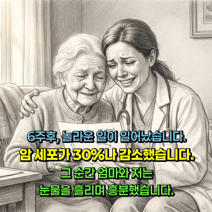 카드뉴스5