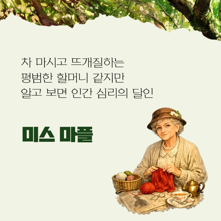 카드뉴스5