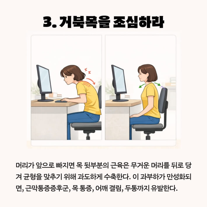카드뉴스3