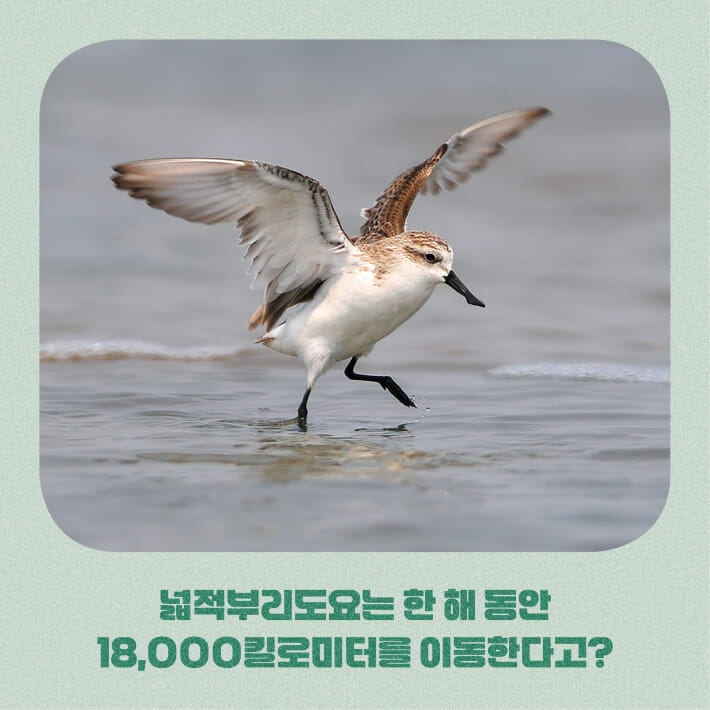 카드뉴스1
