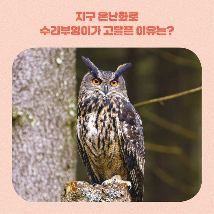 카드뉴스2