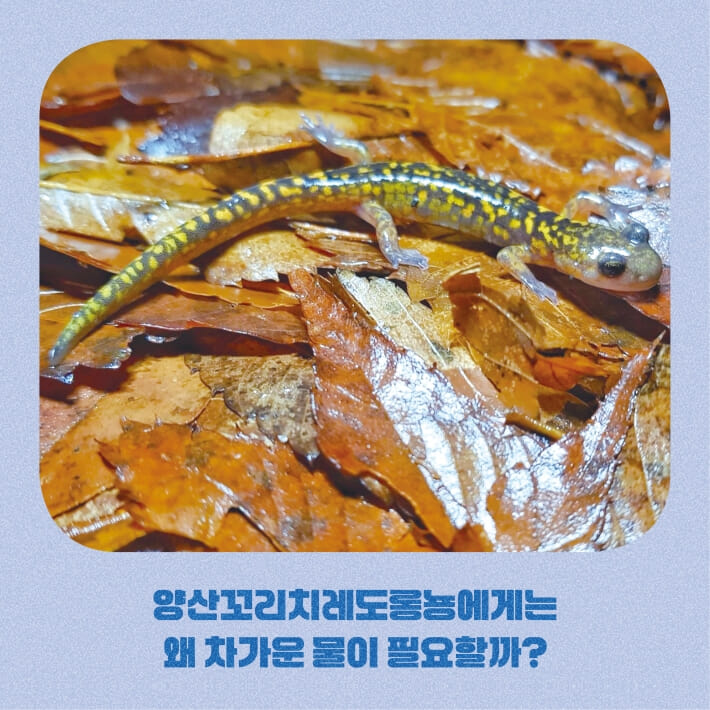 카드뉴스3