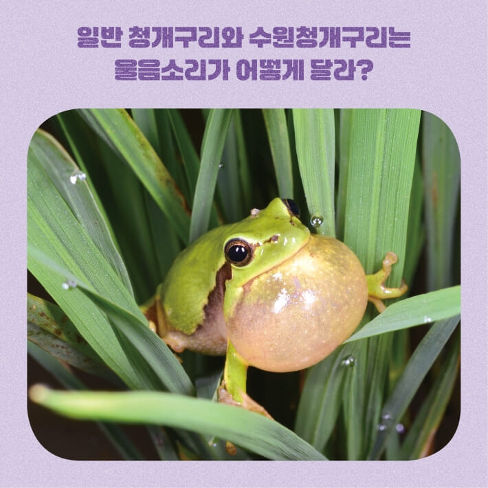 카드뉴스4