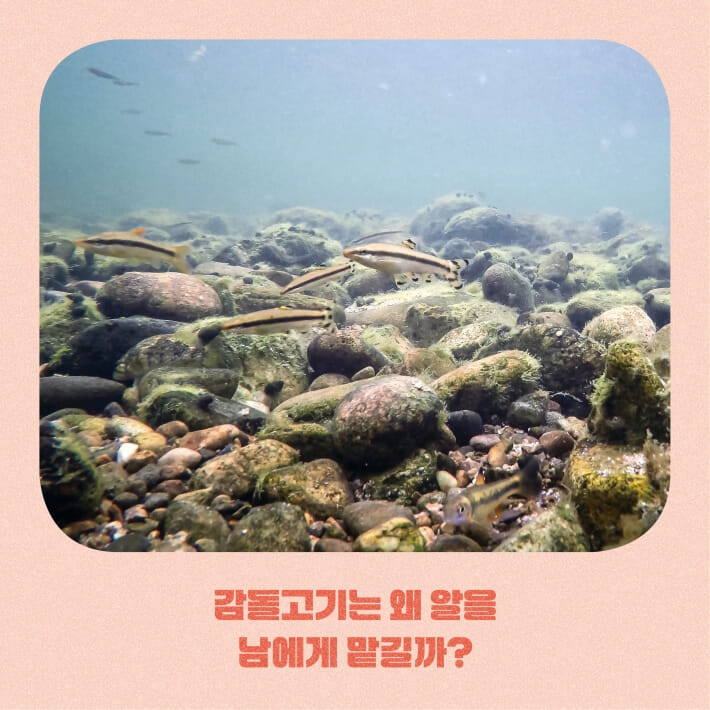 카드뉴스5