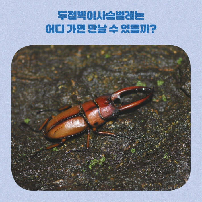 카드뉴스6