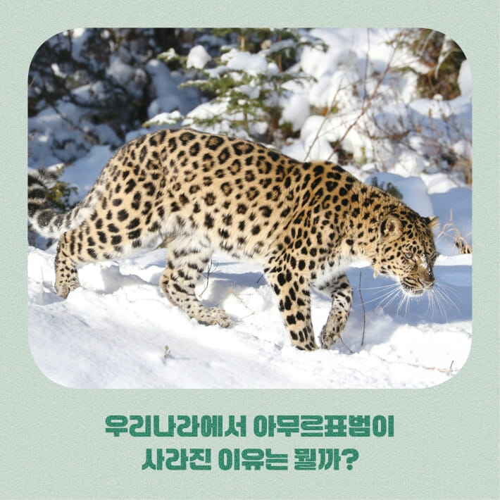 카드뉴스7
