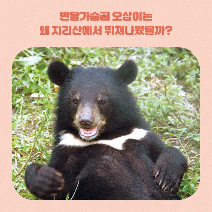 카드뉴스8
