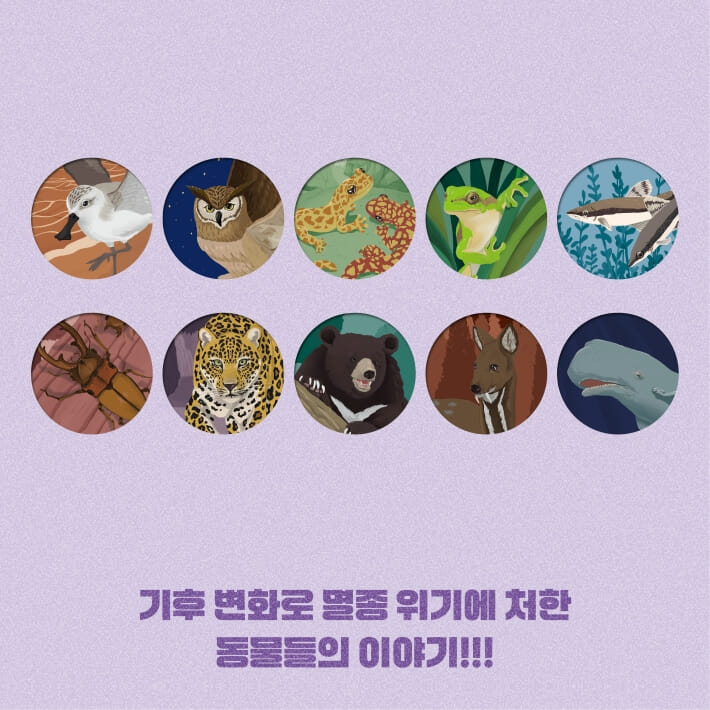 카드뉴스9