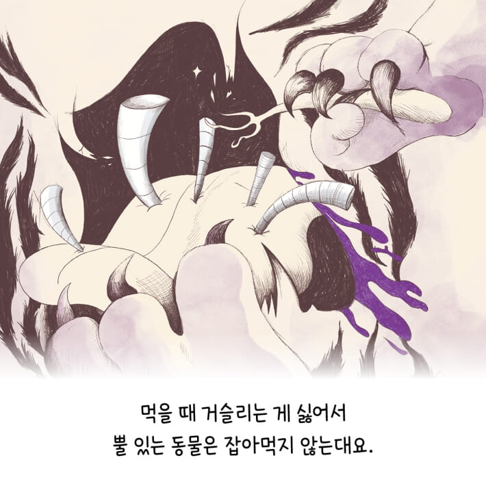 카드뉴스2
