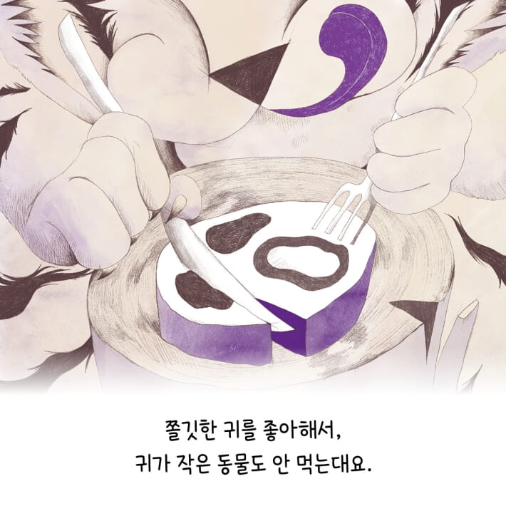 카드뉴스4