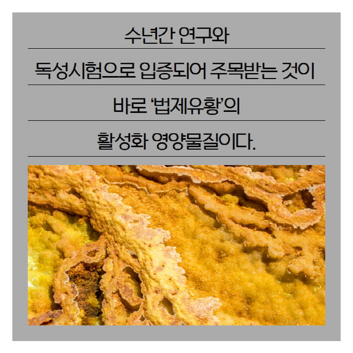 카드뉴스6