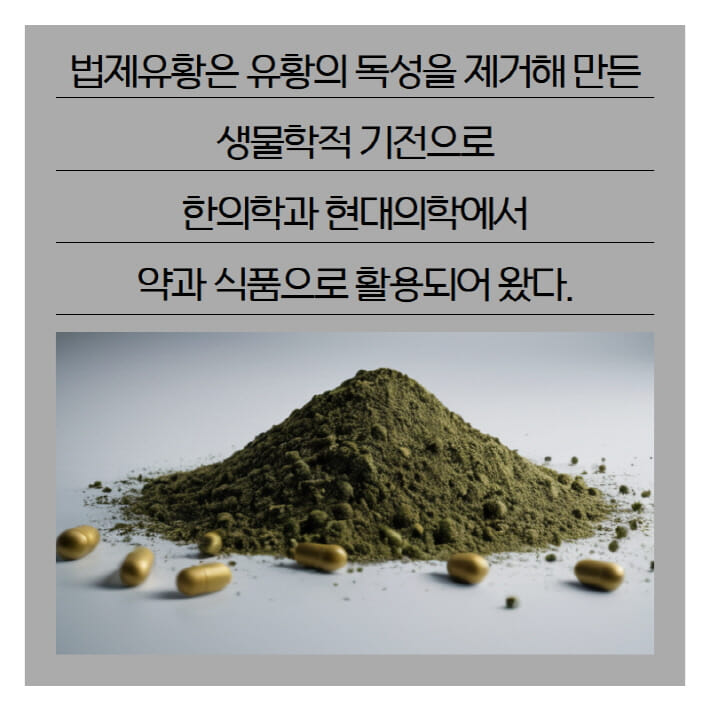 카드뉴스7