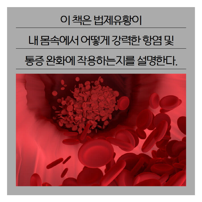 카드뉴스8